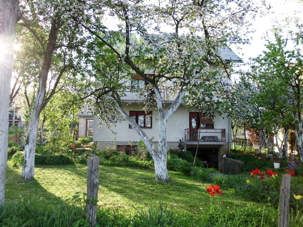 Guest House Krga Кореница Екстериор снимка