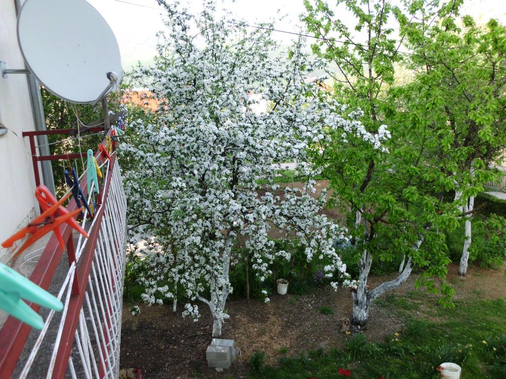 Guest House Krga Кореница Екстериор снимка